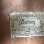 Ibanez EWB205WNENT Basso Acustico 5 corde