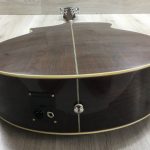 Ibanez EWB205WNENT Basso Acustico 5 corde