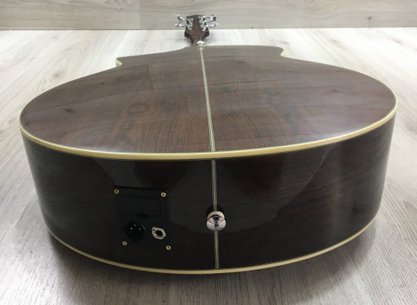 Ibanez EWB205WNENT Basso Acustico 5 corde