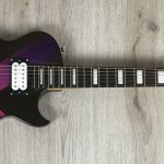 Ibanez GART011LTD