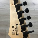 Ibanez GRG121DX WFN