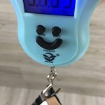 Ibanez RG350DXZ White