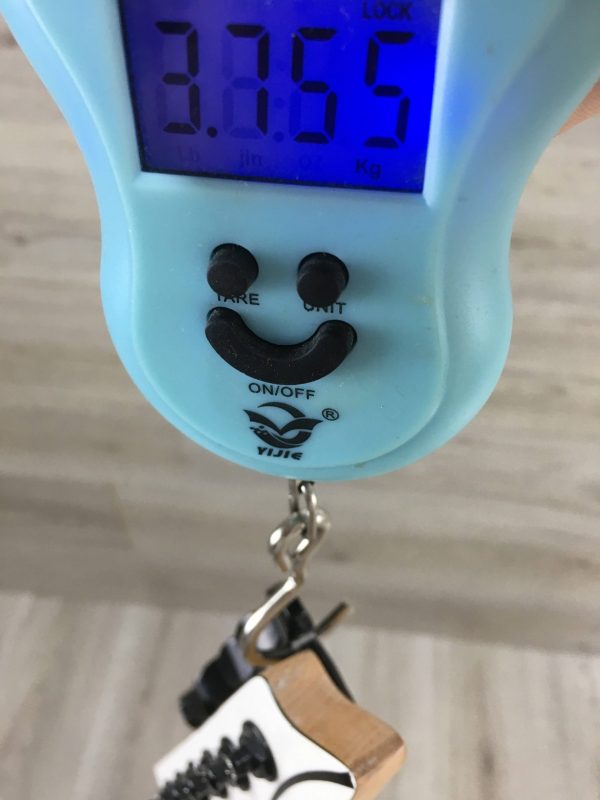 Ibanez RG350DXZ White