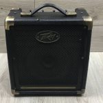 Peavey Ecoustic e20