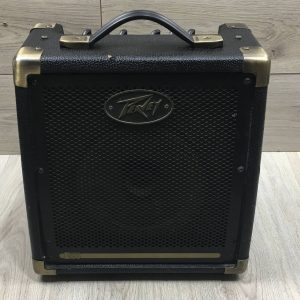 Peavey Ecoustic e20