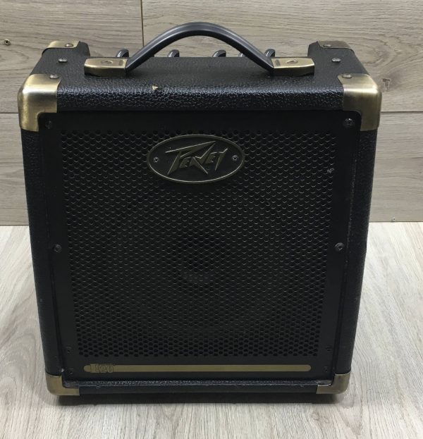Peavey Ecoustic e20