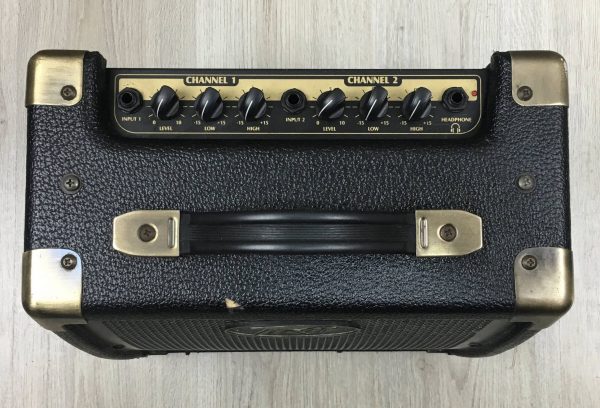 Peavey Ecoustic e20