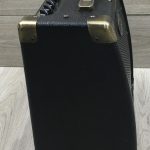 Peavey Ecoustic e20