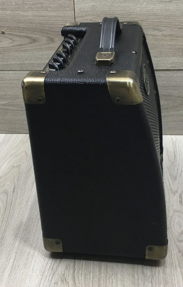 Peavey Ecoustic e20