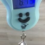 Roytek chitarra elettrica