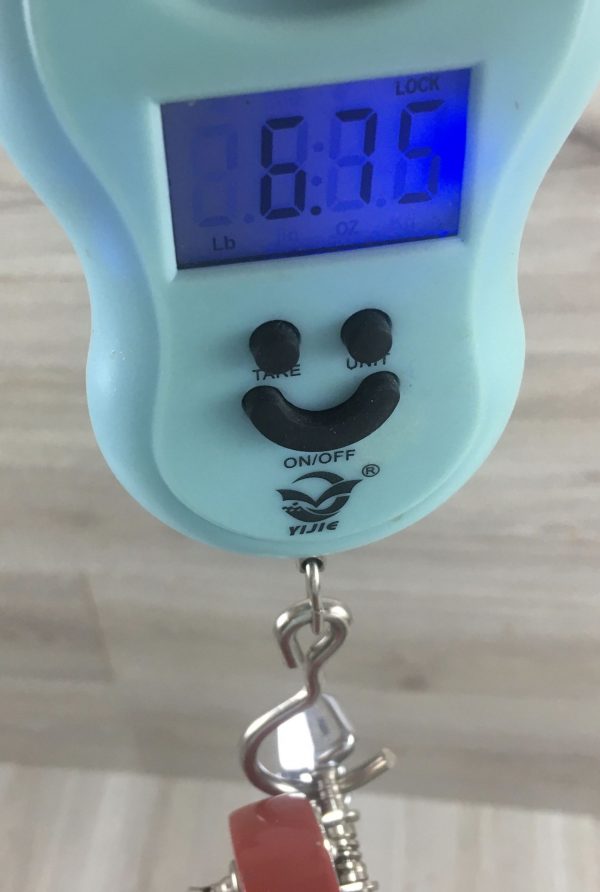 Roytek chitarra elettrica