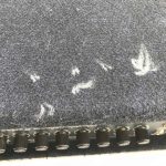 SWR Workingsman 2004