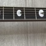 Takamine Limited Edition 1991