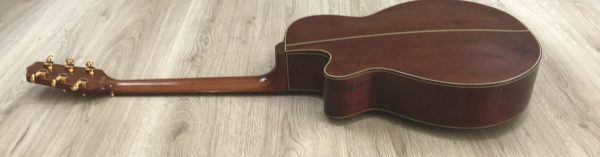 Takamine Limited Edition 1991