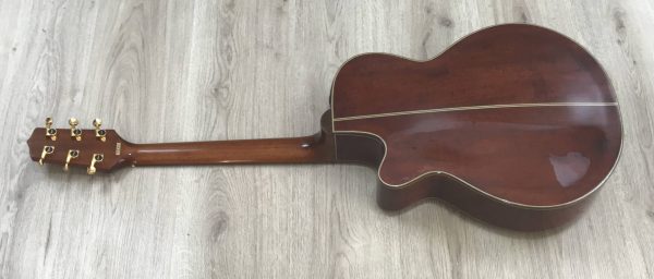 Takamine Limited Edition 1991