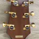 Takamine Limited Edition 1991