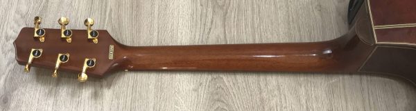 Takamine Limited Edition 1991