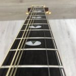 Takamine Limited Edition 1991