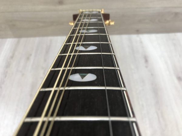 Takamine Limited Edition 1991