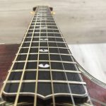 Takamine Limited Edition 1991