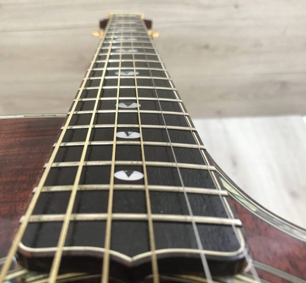 Takamine Limited Edition 1991