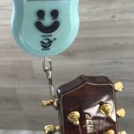 Takamine Limited Edition 1991