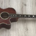 Takamine Limited Edition 1991