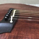 Takamine Limited Edition 1991