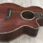 Takamine Limited Edition 1991