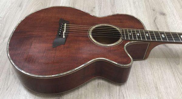 Takamine Limited Edition 1991