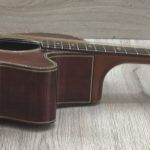 Takamine Limited Edition 1991