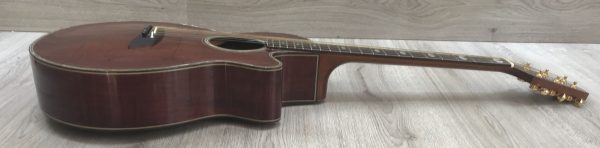 Takamine Limited Edition 1991