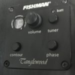 Tanglewood TSF CE BK