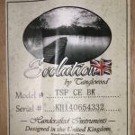 Tanglewood TSF CE BK