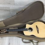 Taylor 214ce N