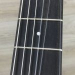Taylor 214ce N