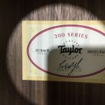 Taylor 214ce N