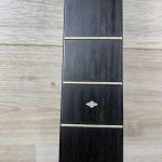 Taylor 514 CE Seriale 981005106