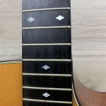 Taylor 514 CE Seriale 981005106