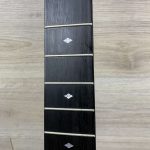 Taylor 514 CE Seriale 981005106