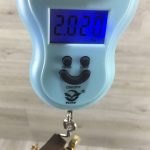 Taylor 514 CE Seriale 981005106