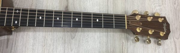 Taylor 514 CE Seriale 981005106