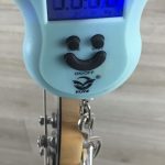 Warwick Rockbass Corvette Basic