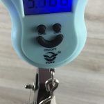 Yamaha RSE20 Red Copper