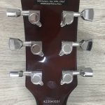 Eko VL480 Aged Gold Sparkle