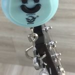 Eko VL480 Aged Gold Sparkle