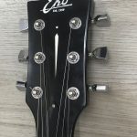 Eko VL480 Aged Gold Sparkle