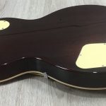 Eko VL480 Aged Gold Sparkle