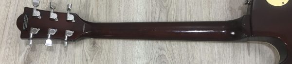 Eko VL480 Aged Gold Sparkle