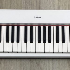 Yamaha Piaggero NP-32